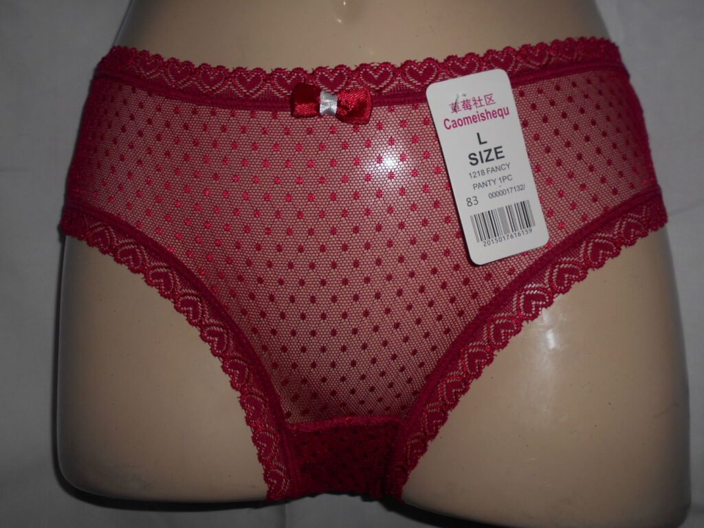 dscn0113