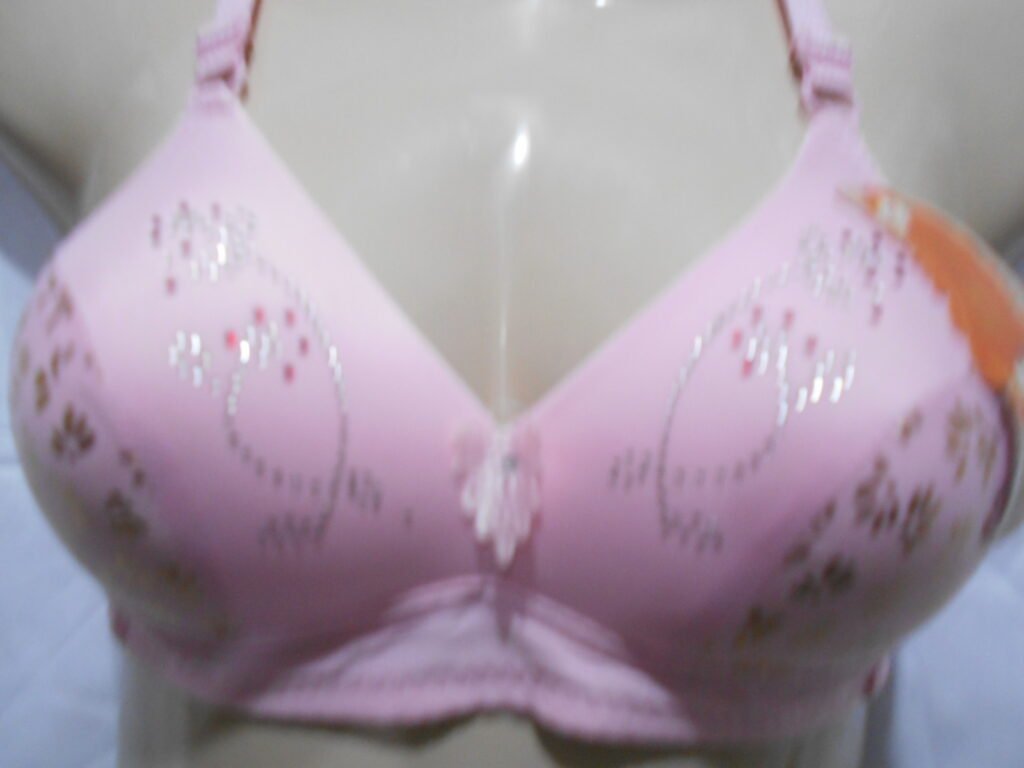 dscn0132
