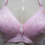 dscn0132